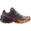 Speedcross 6 GTX W (Donna)